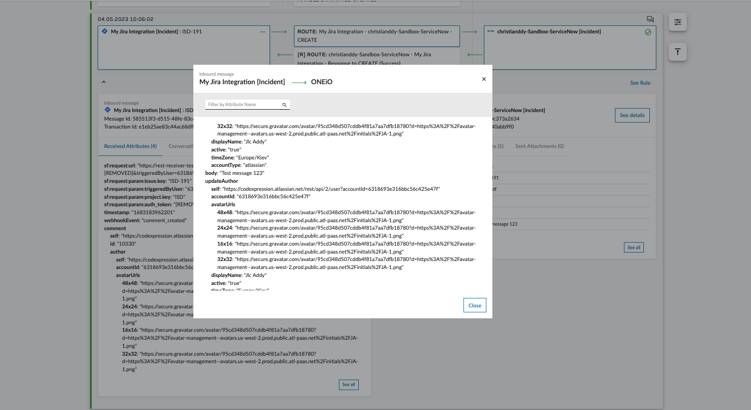 View from - See all modal window - Received attributes - Structured Body